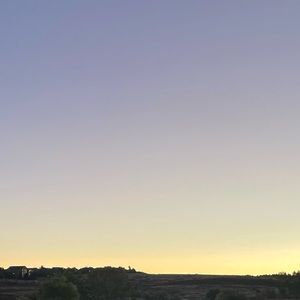 Meet your Posher, Ava